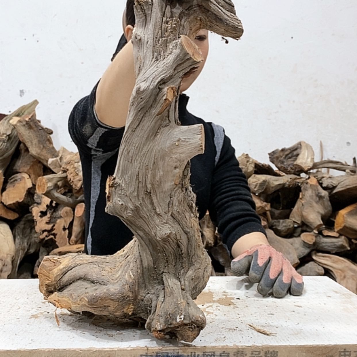 【闪购商品】柏木凉*我们都是好孩子