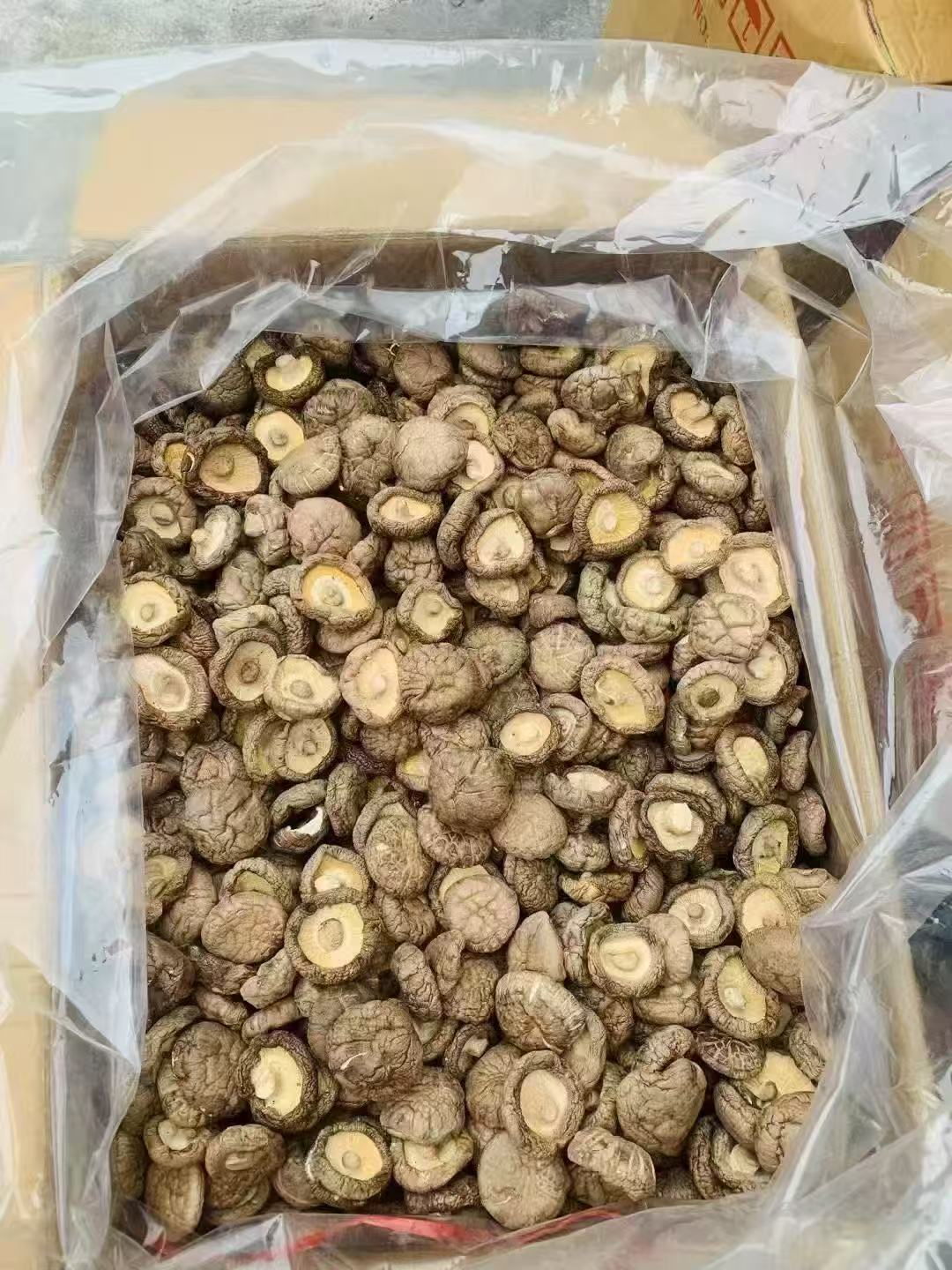 江西白面菇肉厚味道香一包500克