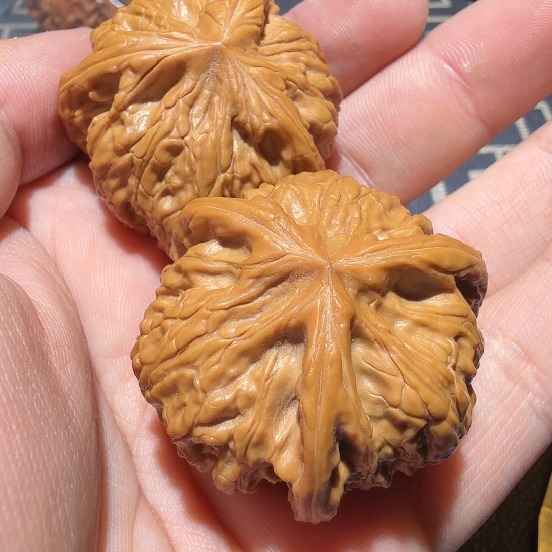 文玩核桃把件桐御龙