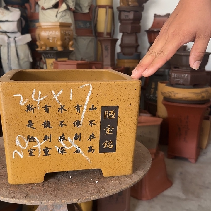 紫砂花盆紫砂花盆