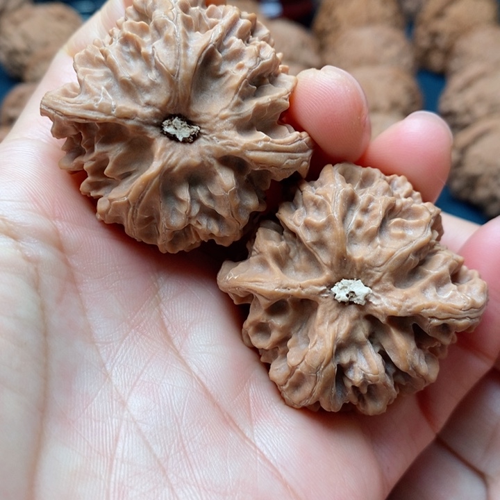 文玩核桃把件42苹果园