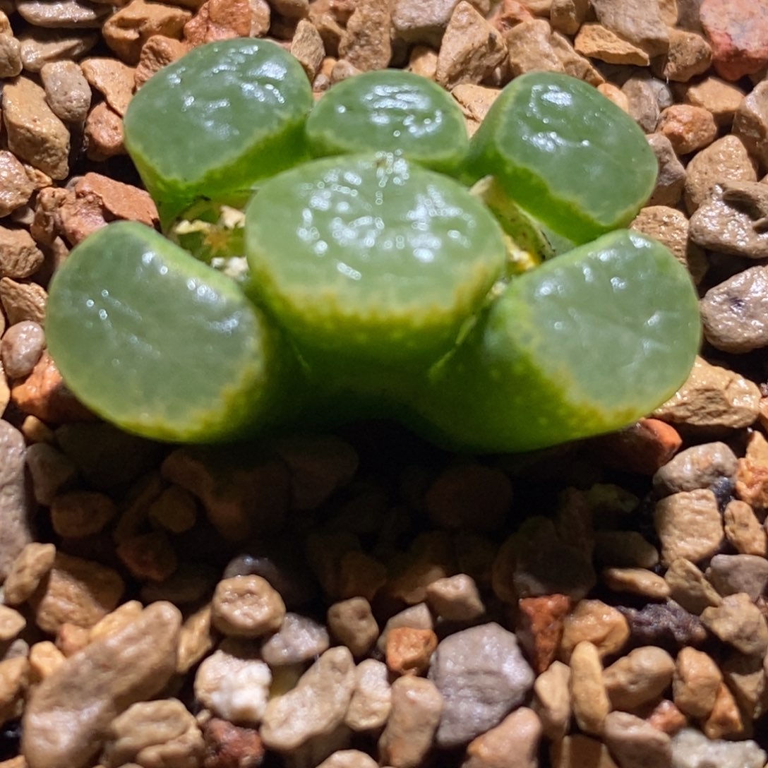 绘***心195 195 195 195 195 195