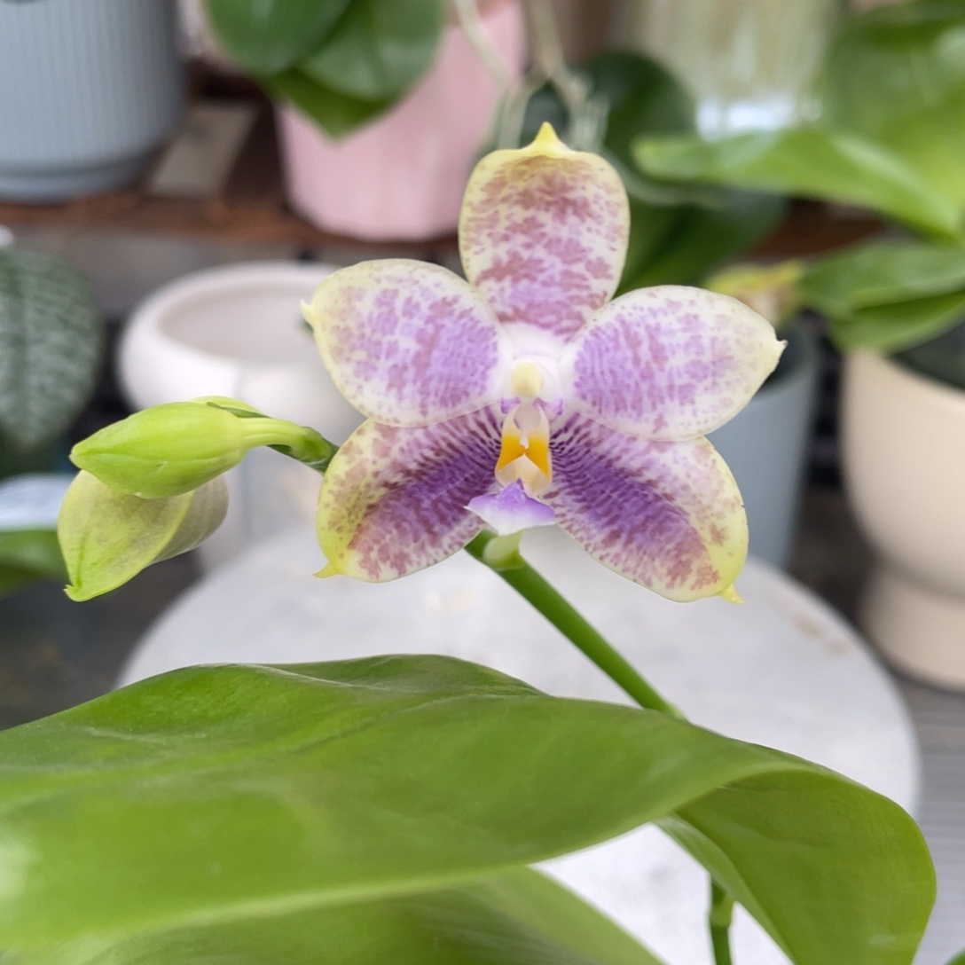 完全开放11111111111