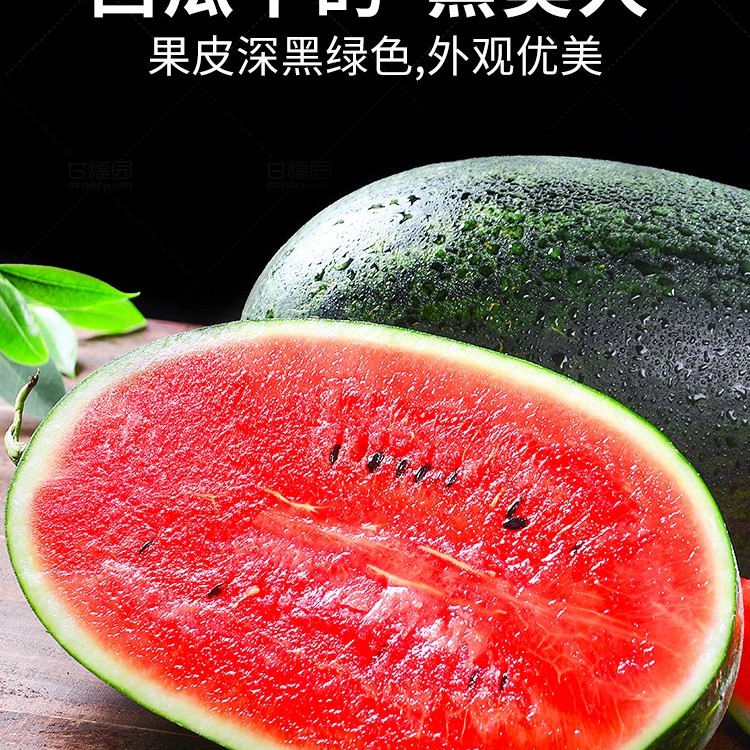 （龙陵县城内配送）黑美人西瓜西瓜同城配云南省