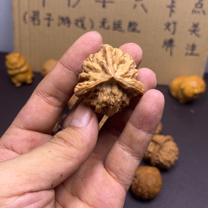 用***5菩提籽类盘山三棱