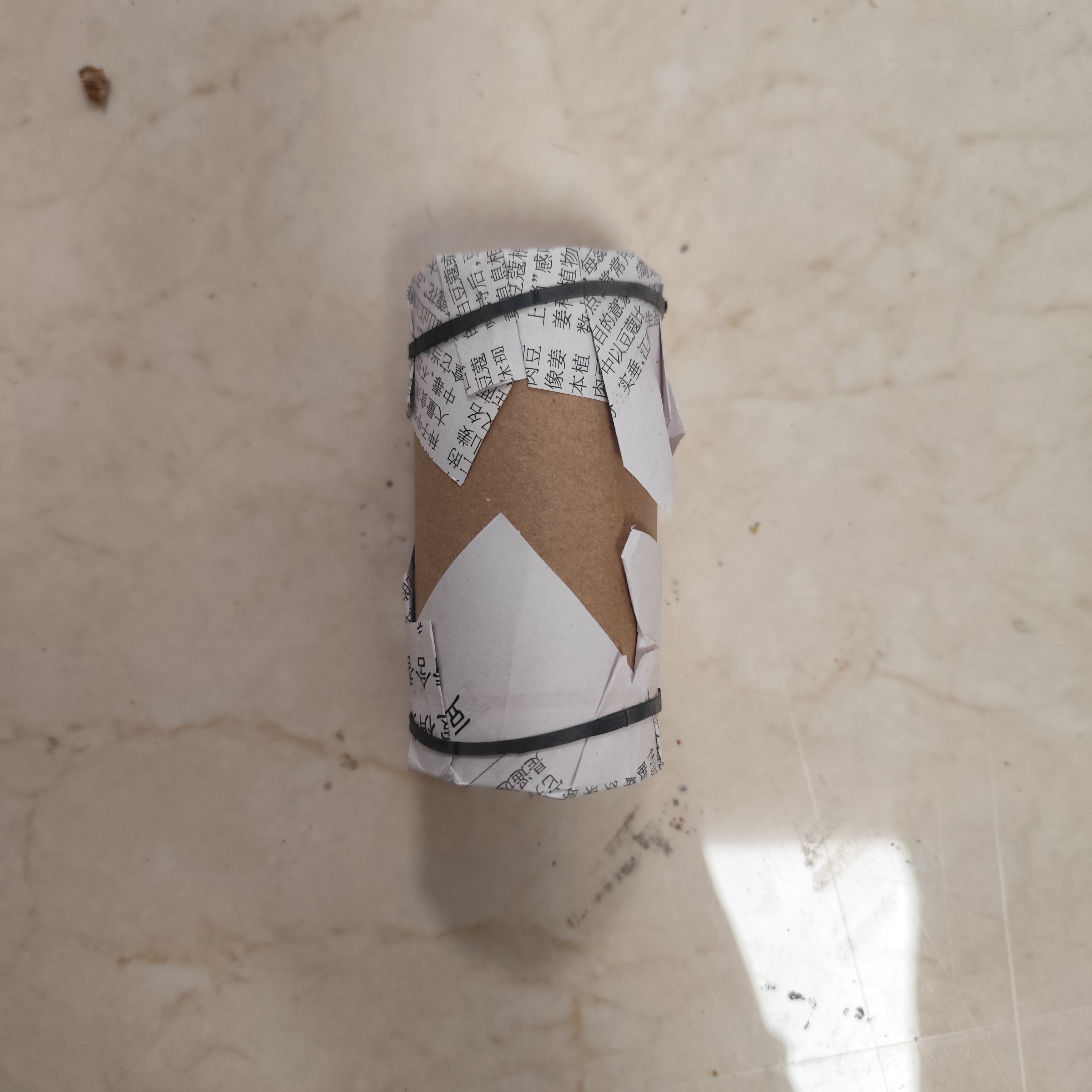 名家蚡房铁皮蝈蝈   