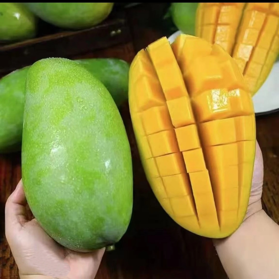 正宗广西百色黄皮金煌芒果核薄肉厚香甜多汁新鲜水果