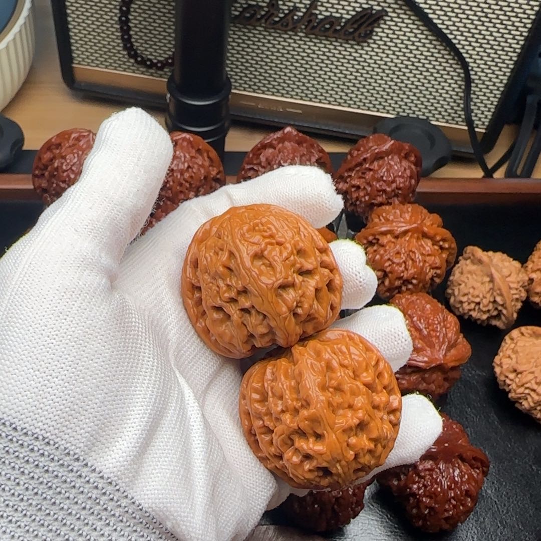 小冉核桃全品红锦鲤41.5