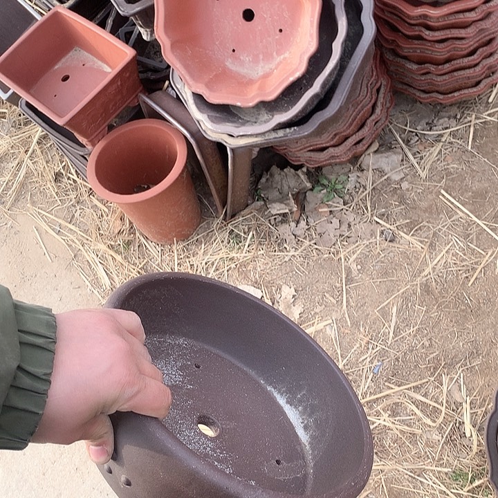 紫砂哈哈真的是太喜欢啦