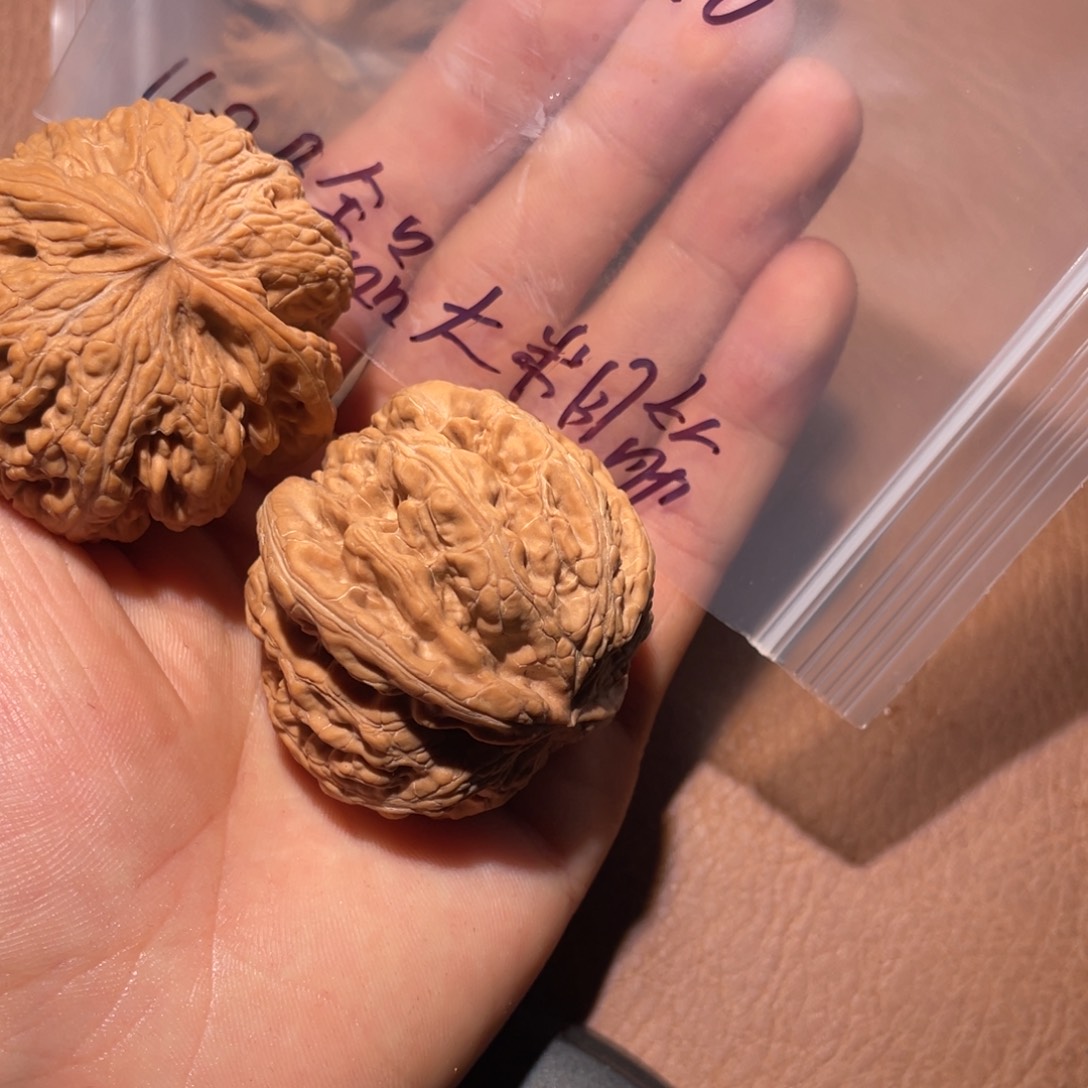 白***云核桃手串/手链016