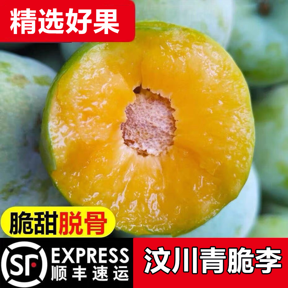 【顺丰包邮】四川汶川青脆李子脱骨脆李新鲜水果脱骨李子礼盒包邮