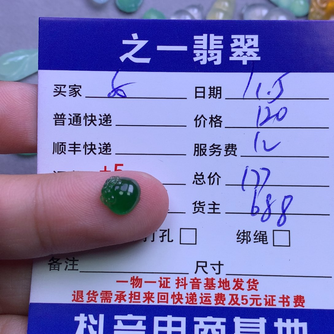 颈饰未镶嵌翡翠女****O