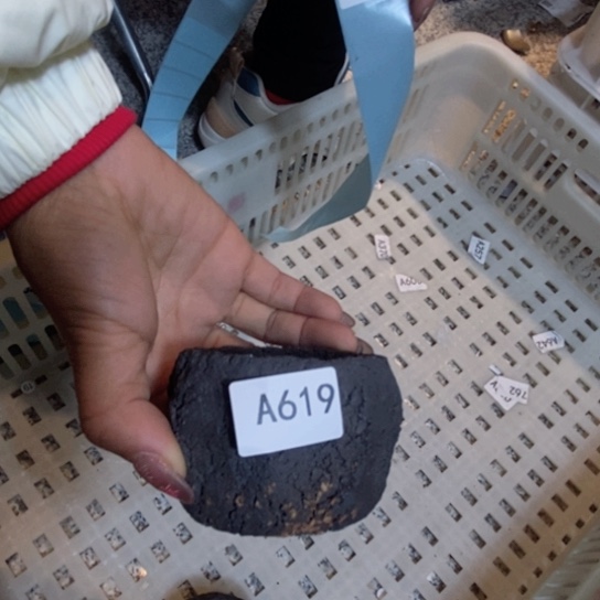 福利福利活动等活动