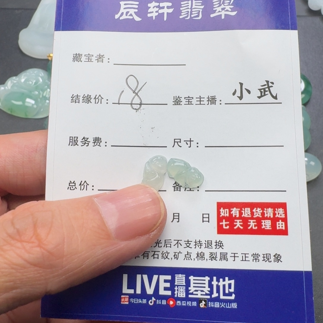 呵***⁾翡翠未镶嵌颈饰      93