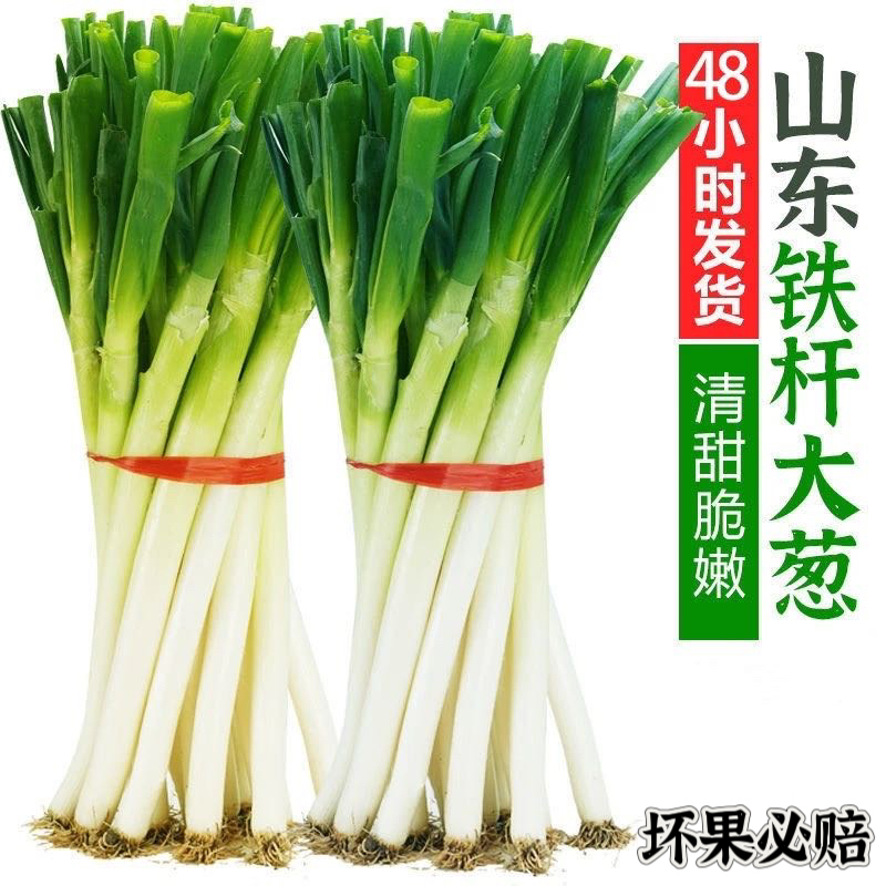 新鲜蔬菜大葱山东新鲜铁杆大葱批发食用现挖提斤提味好吃提味好吃