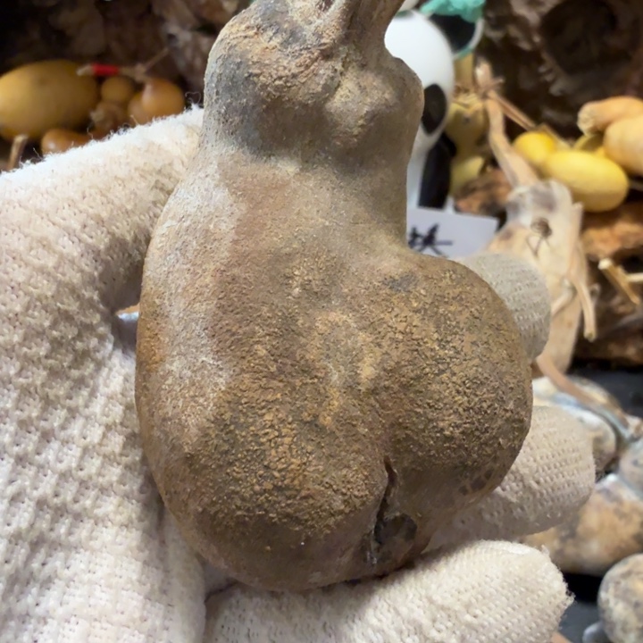 ****姐6666667777777888889