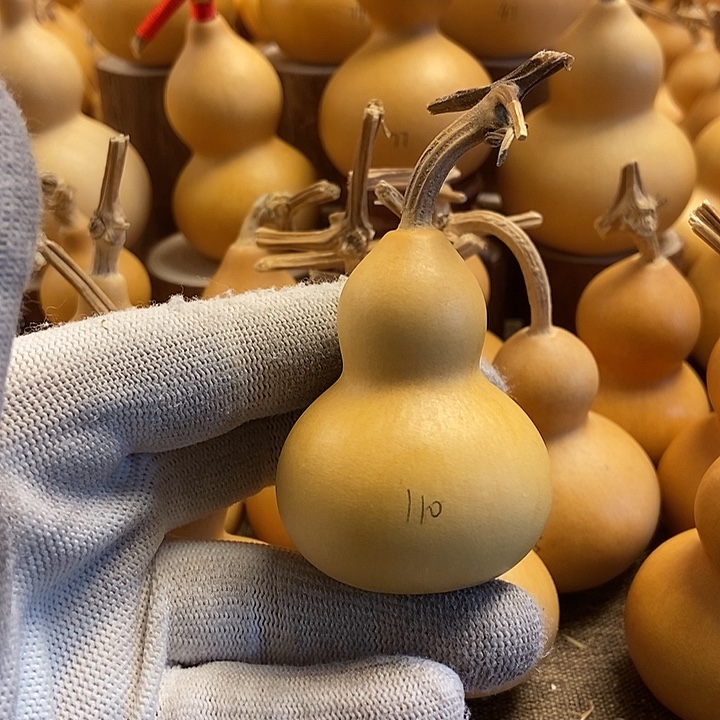 文玩葫芦 完美主义者 慎拍110