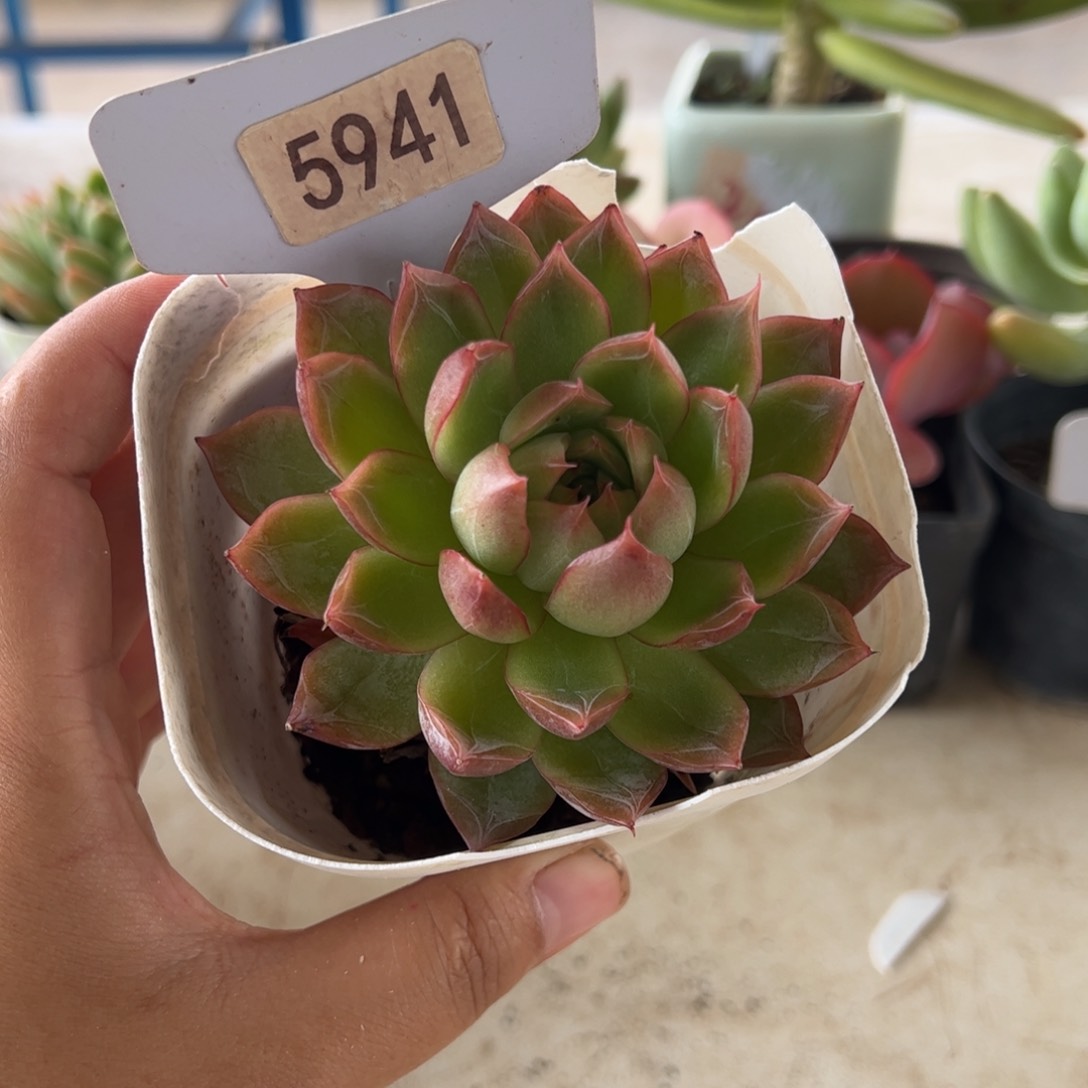 【闪购商品】5841。  1111111