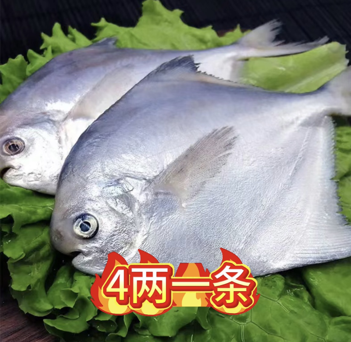 野生海捕银鲳鱼4两一条（到手10条）顺丰液氮锁鲜包邮
