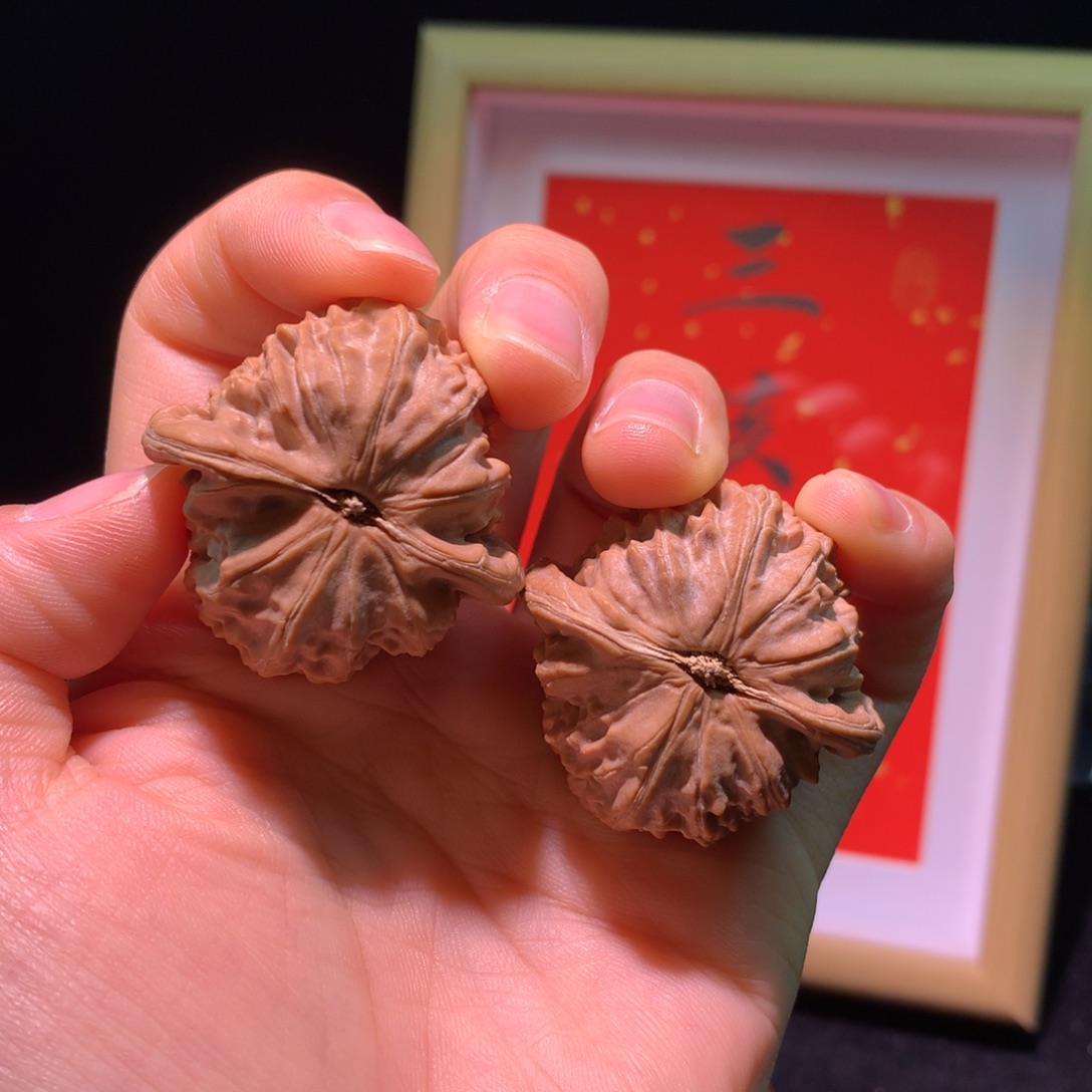 冠***鸟文玩核桃把件三核印象白狮子37