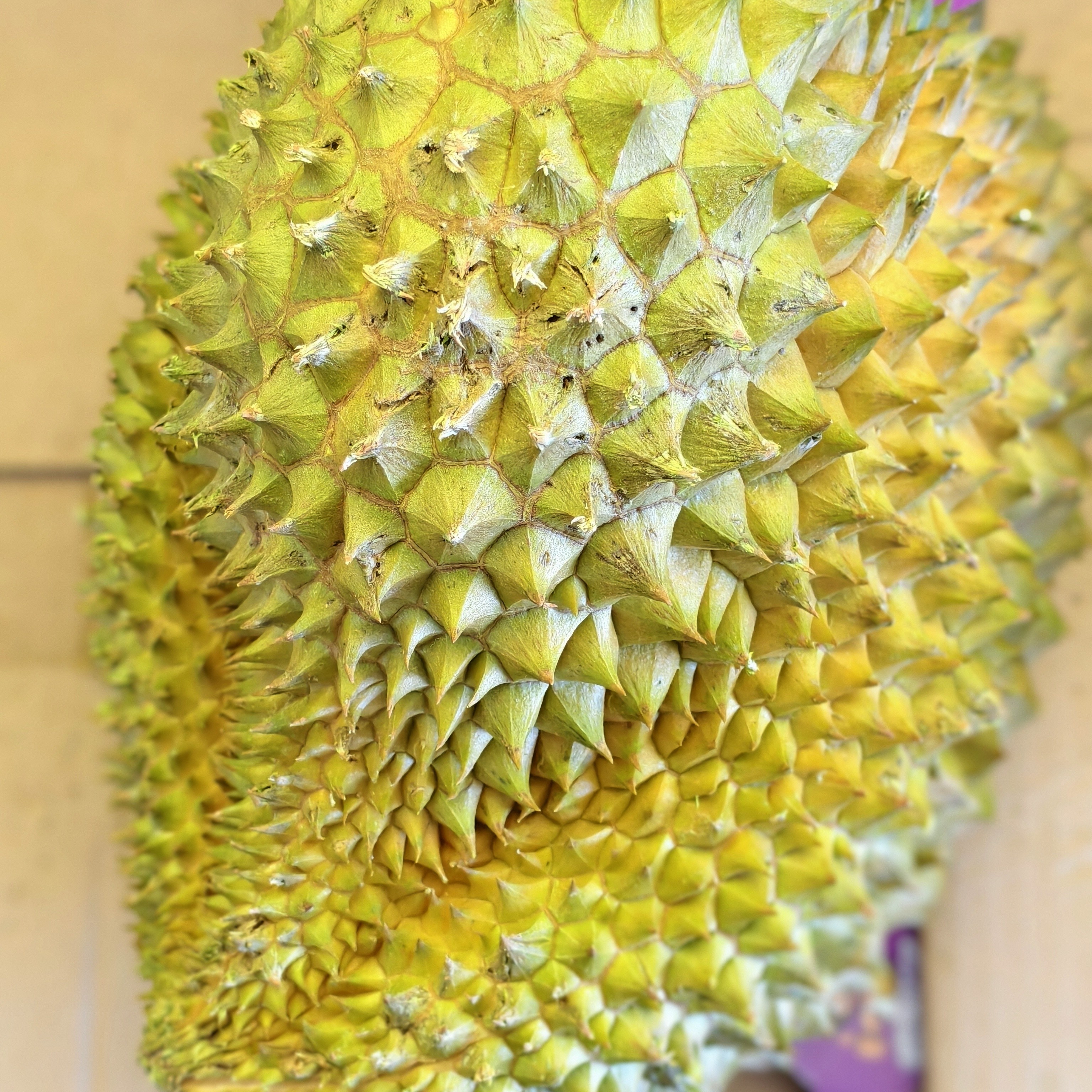 泰国金枕榴莲金枕泰国