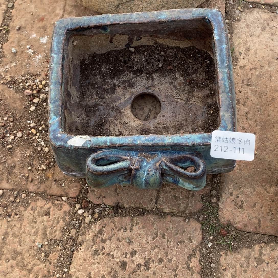 111号多肉盆一个呀