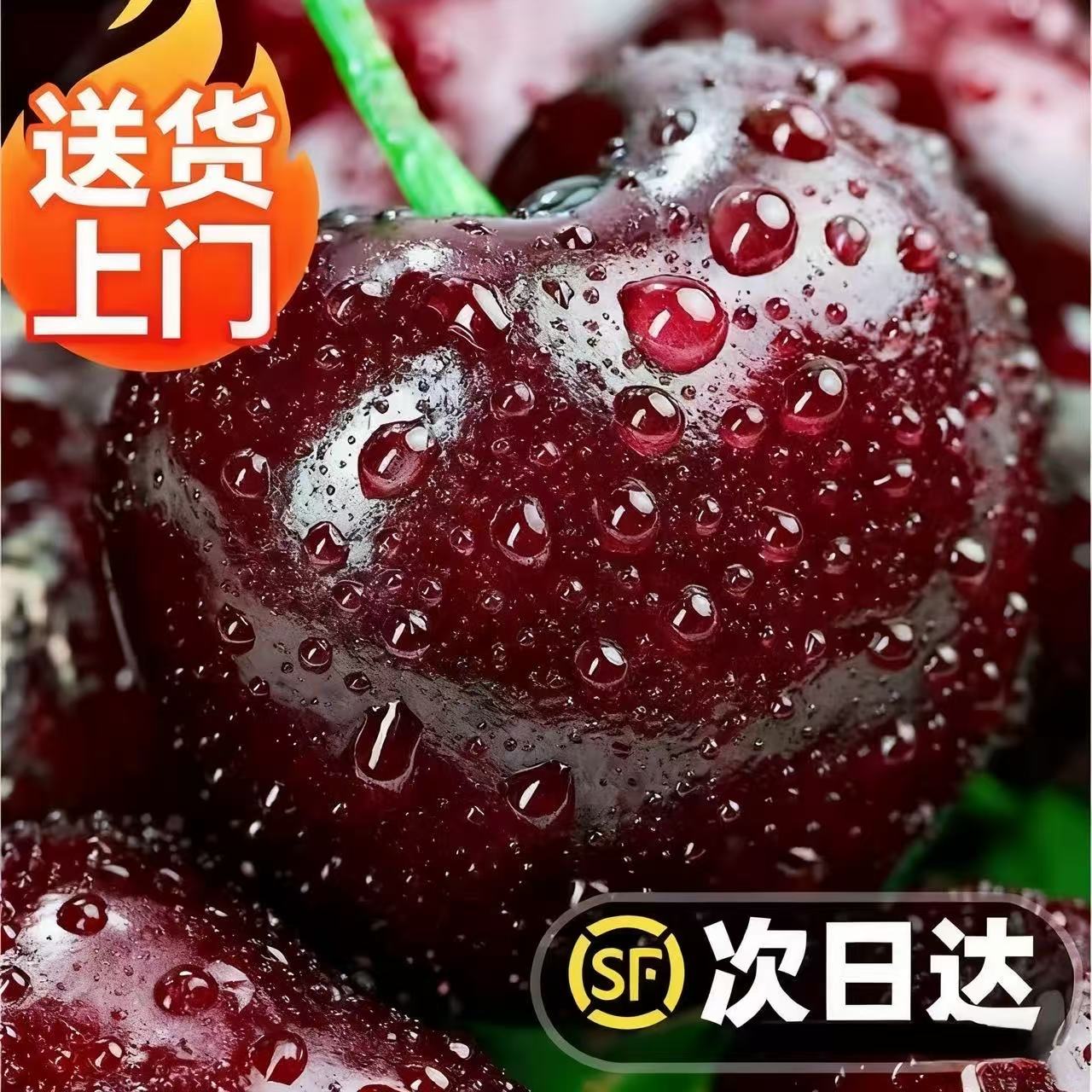 3JDD黑车果王5斤净重【今天拍明天到】WL智利海运进口车厘子新鲜水果脆甜多汁内附果径卡桑提娜樱桃智利共和国