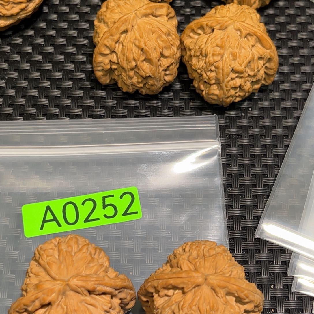 文玩核桃吊坠38白狮子