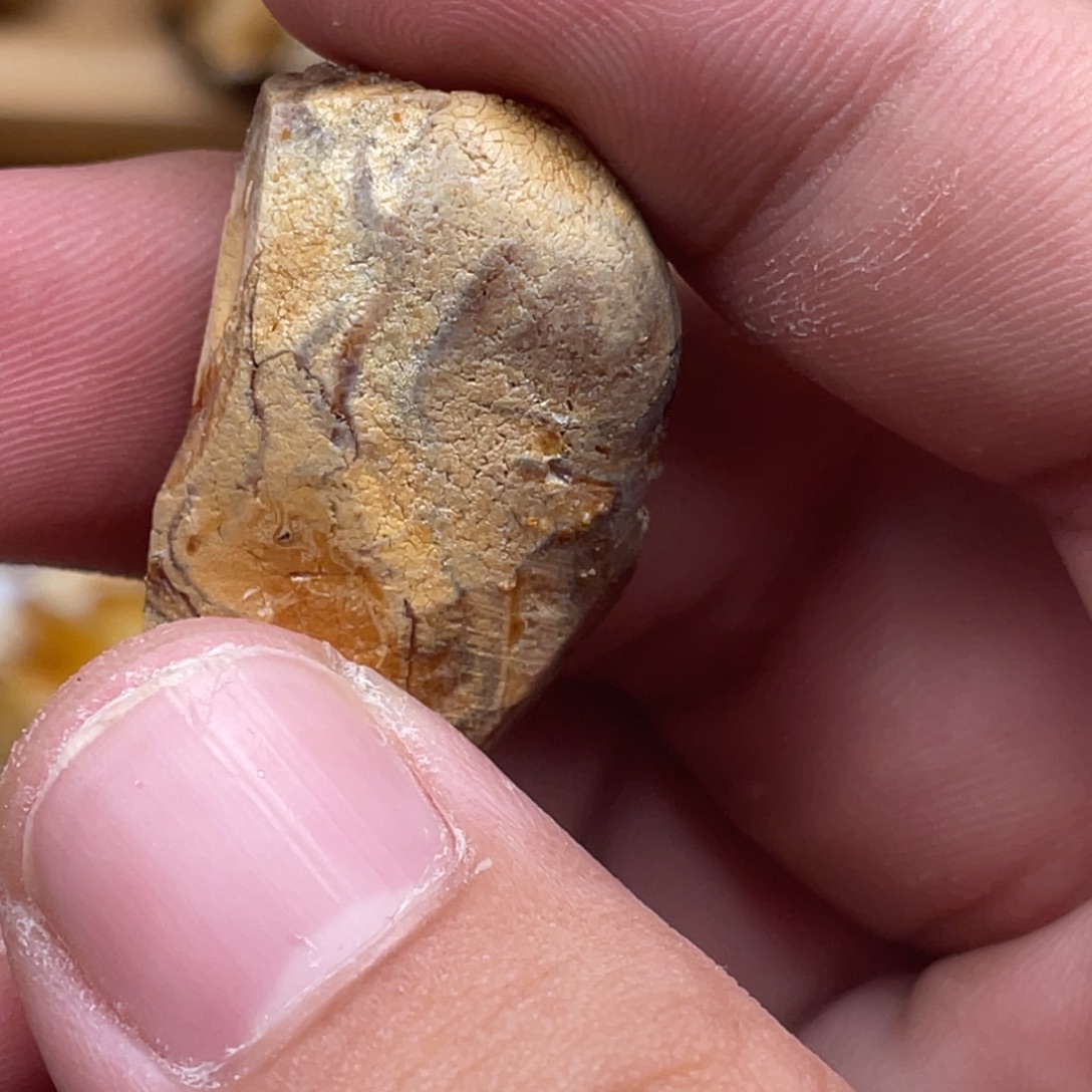 勇***士定制琥珀蜜蜡原石