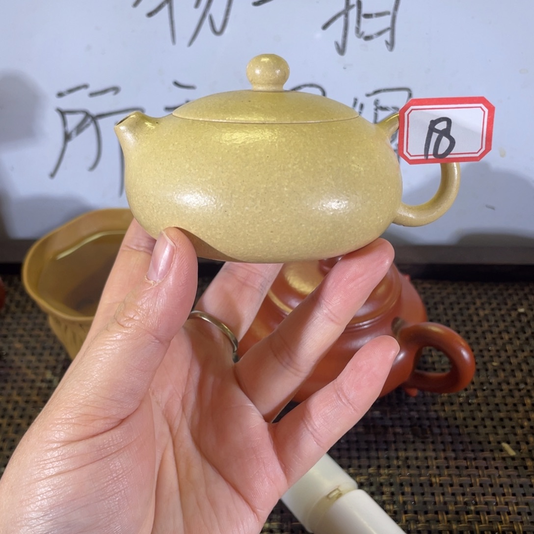 茶壶紫砂西施本绿