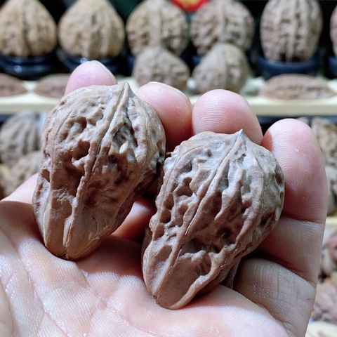 文玩核桃把件大头 带彩