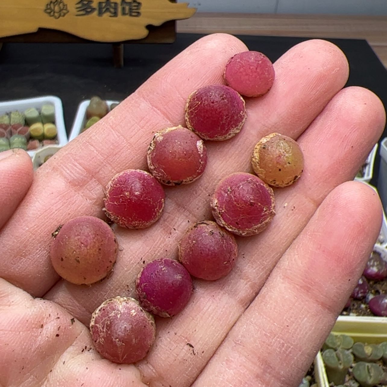 【闪购商品】000000。3