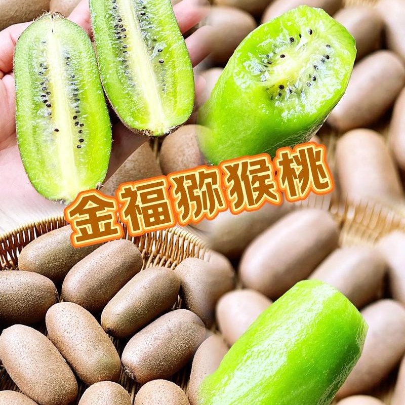 【京东秒发】周至正宗金福猕猴桃净重2斤装鲜果直发包邮