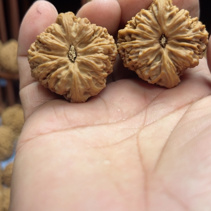 完全开放牧*南疆石