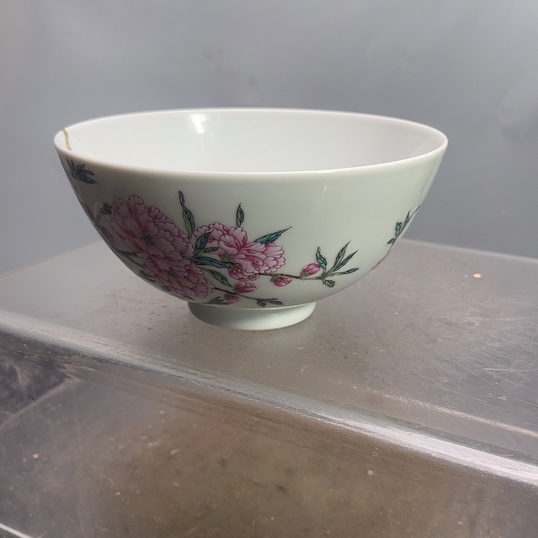 陶珐琅彩过墙梅碗