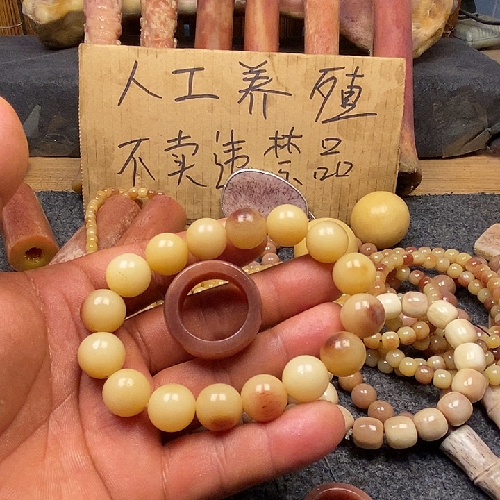 伟***哥手串/手链驼骨789632147