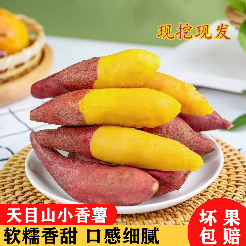 现挖新鲜正宗临安天目山小香薯软糯香甜