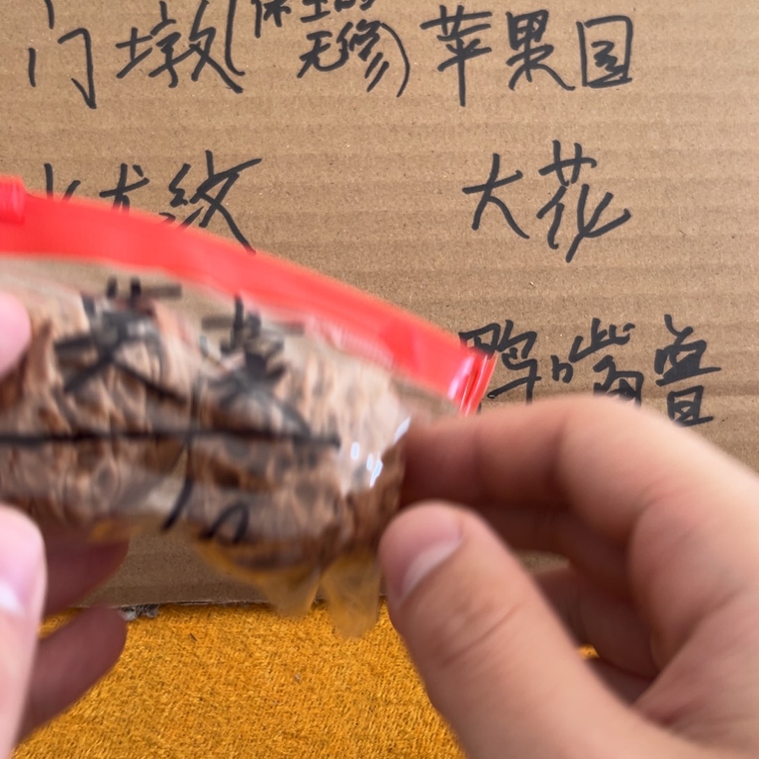 莫***莫文玩核桃吊坠莫莫老板43加门墩