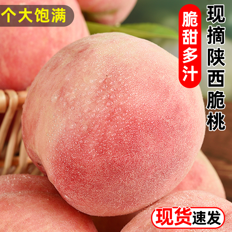 现摘陕西脆桃新鲜水果应当季整箱大桃子软时令脆甜毛桃水蜜桃露天
