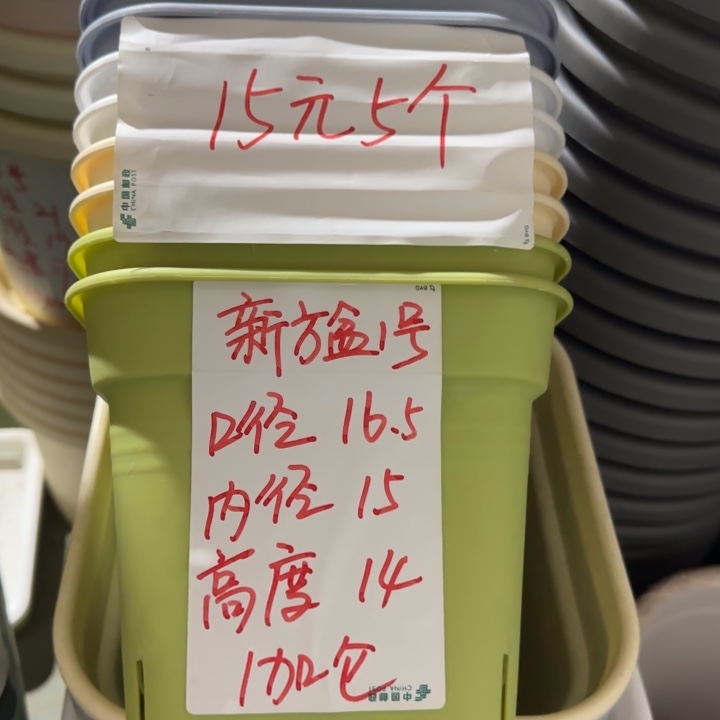 新款方盆口16无托纯白10个