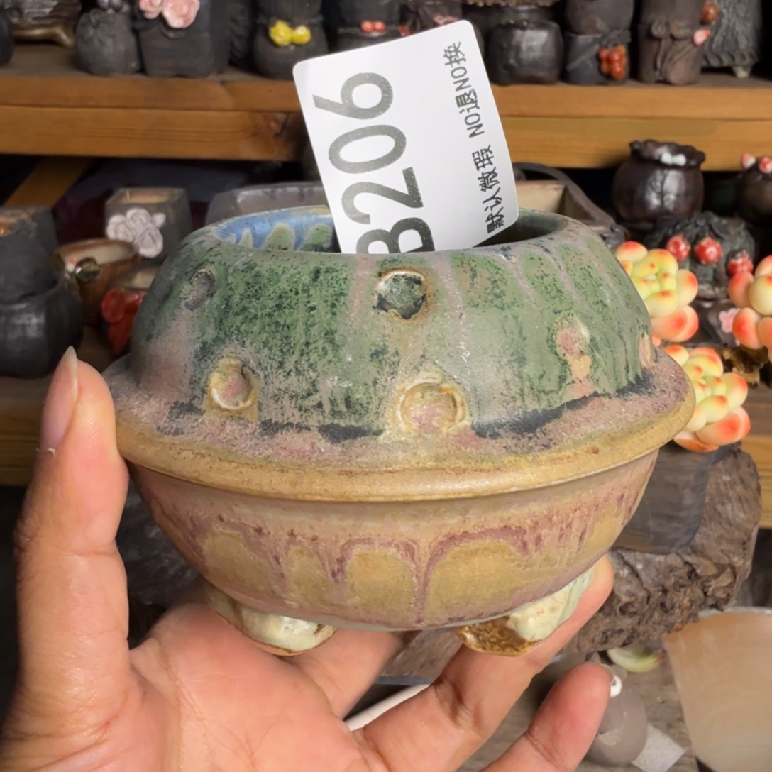 重庆小燕子欢迎大家206