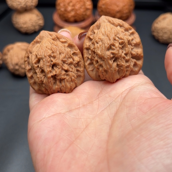 核桃红狮子37尺全品