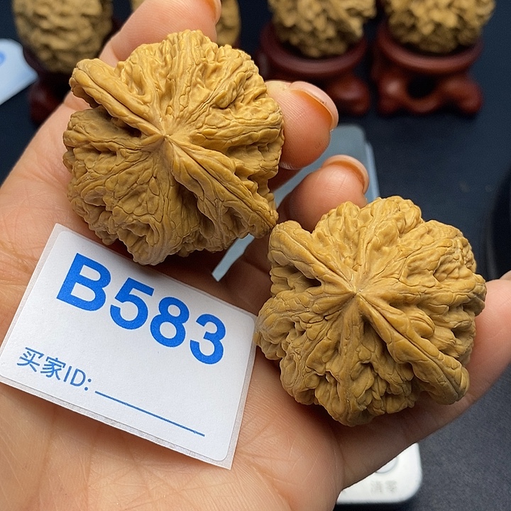 把件文玩核桃粗筋4.4