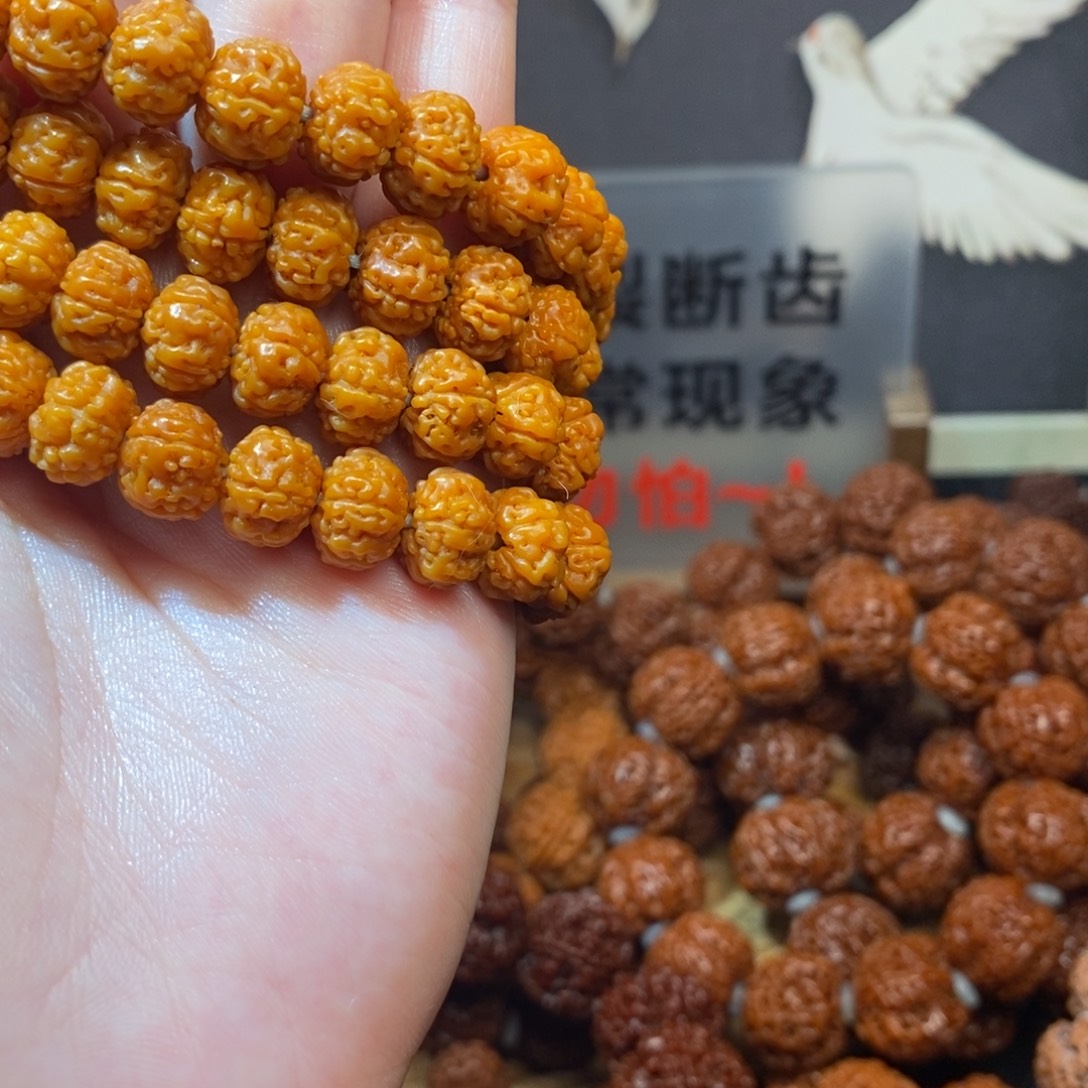 金刚菩提吊坠10无尘树王 