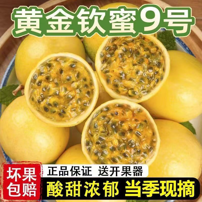 （正宗）钦蜜9号百香果产地直发新鲜当季水果果味浓郁爆甜礼盒装