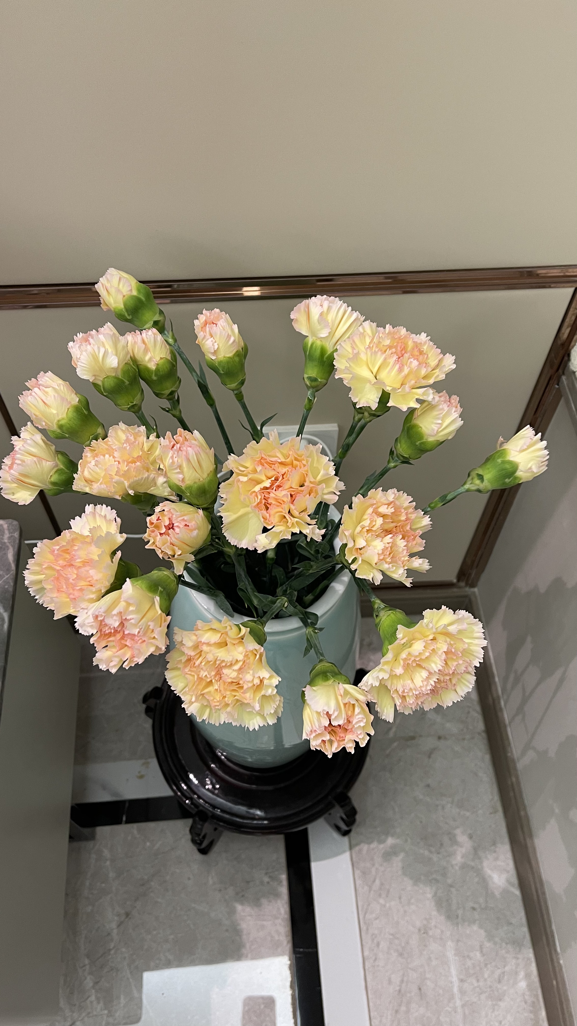 可可西里 单头康乃馨  任意2单发顺丰/德邦 云南鲜花直发