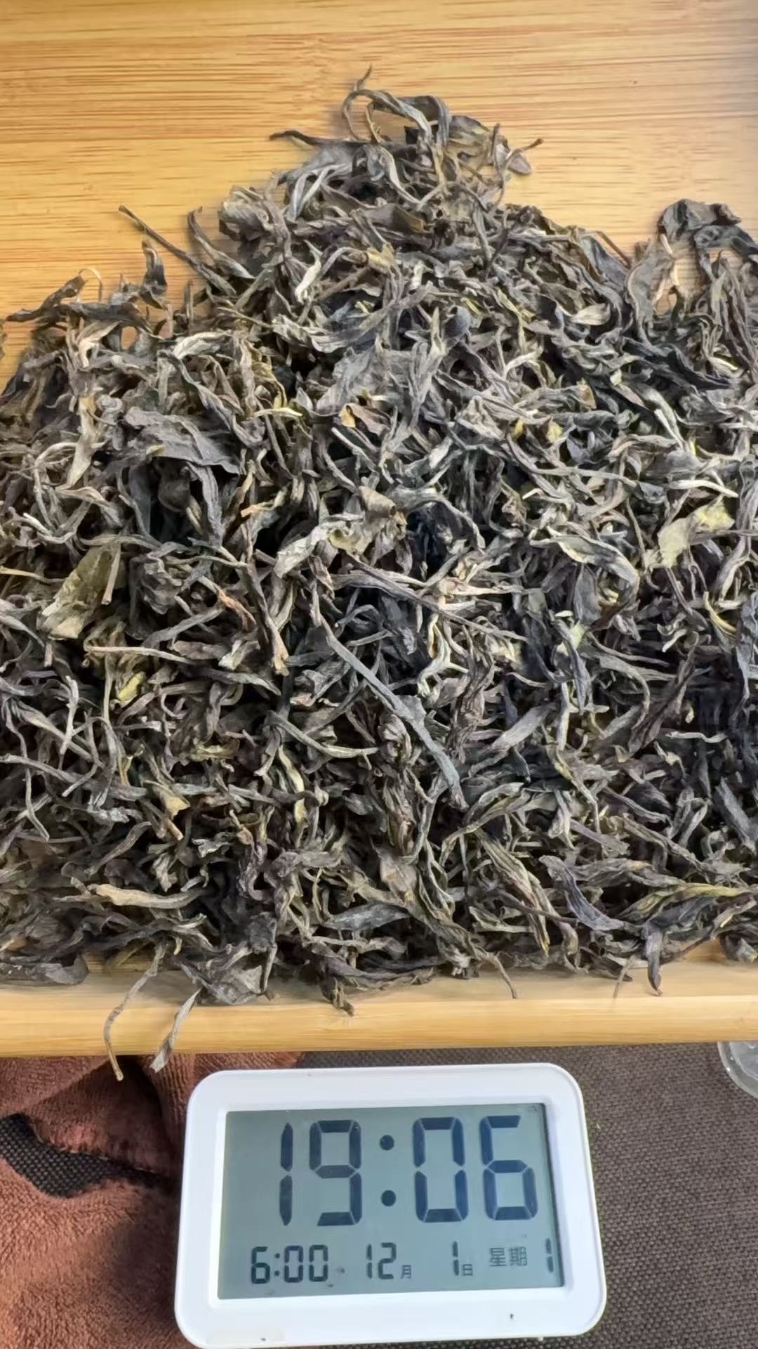 超级福利！！2025年《白莺山》100g古树春茶普洱生茶【251201-01-001】