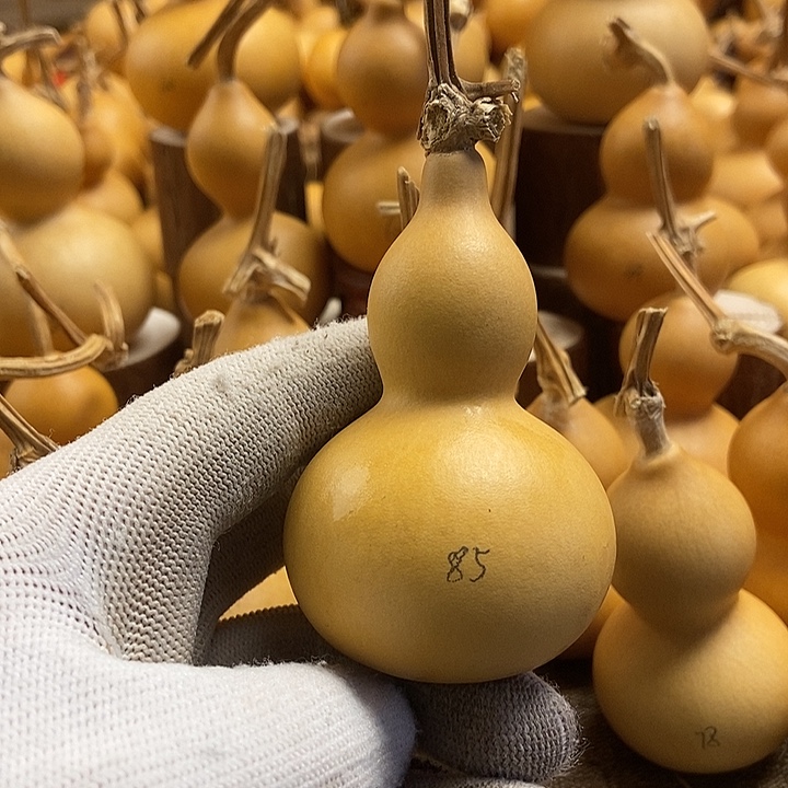 文玩葫芦 完美主义者 慎拍85