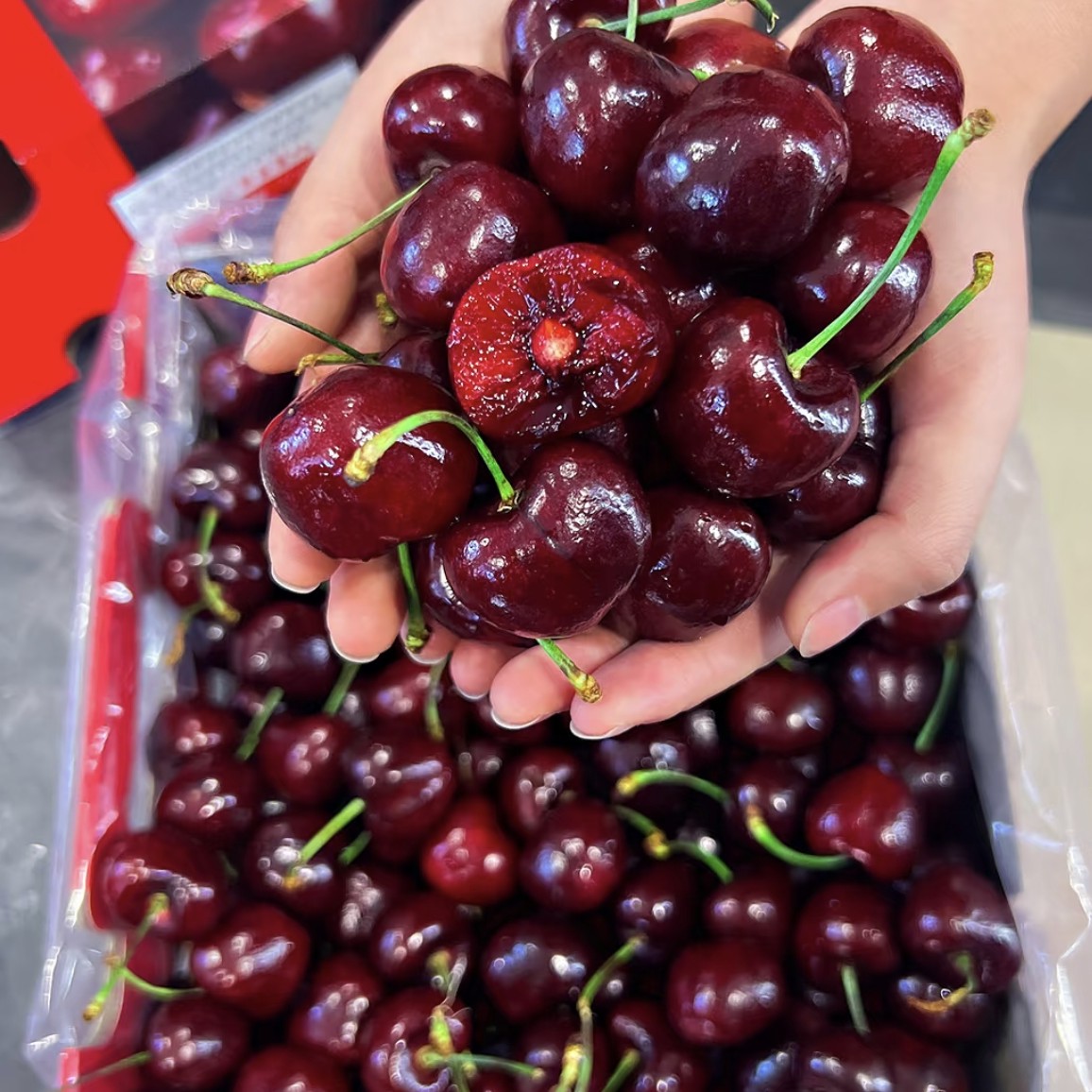 【榴步】桑提娜智利海运3J车厘子5-10斤（xxl大小）智利