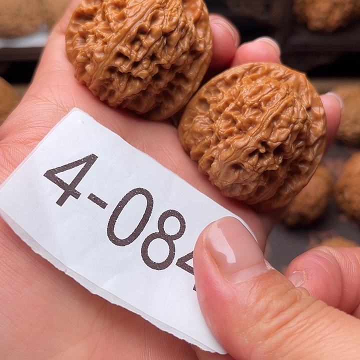 核桃41南疆石4084